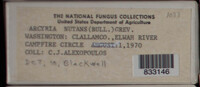 Image Associated With the Occurence